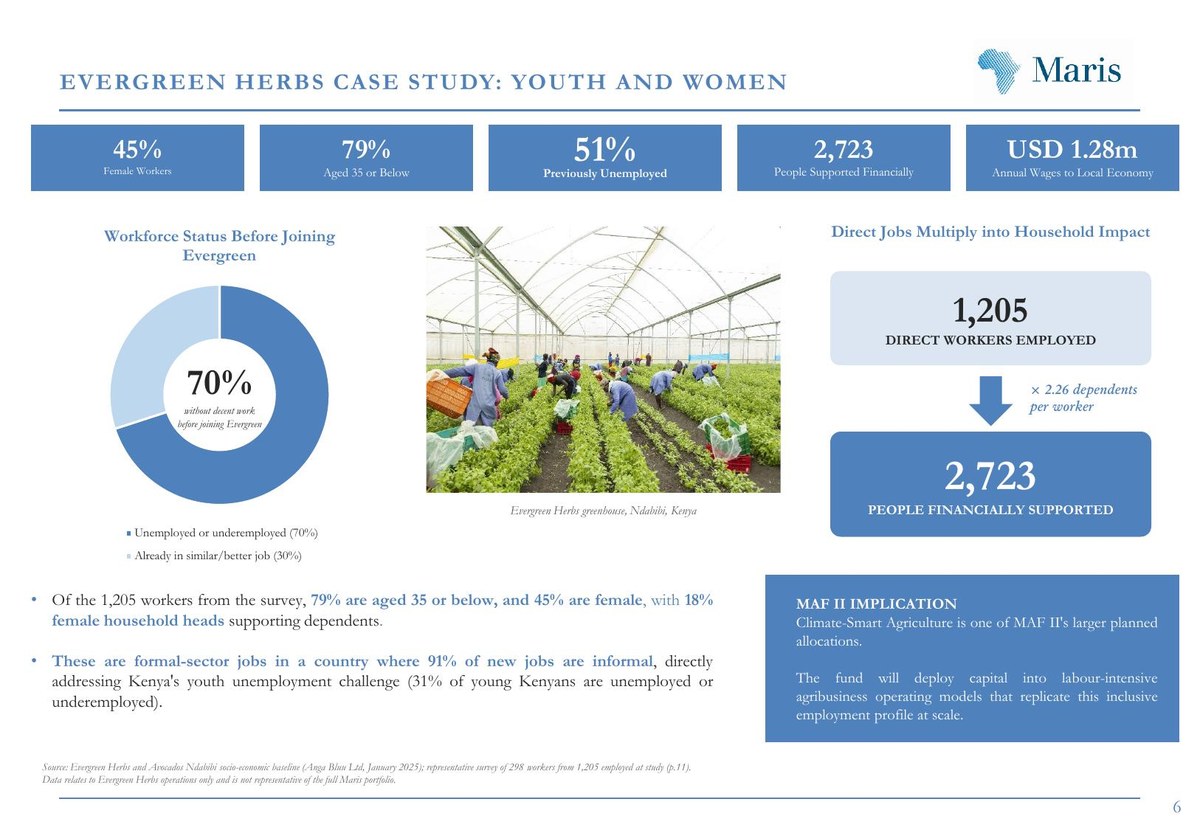 Evergreen Herbs case study: youth and women